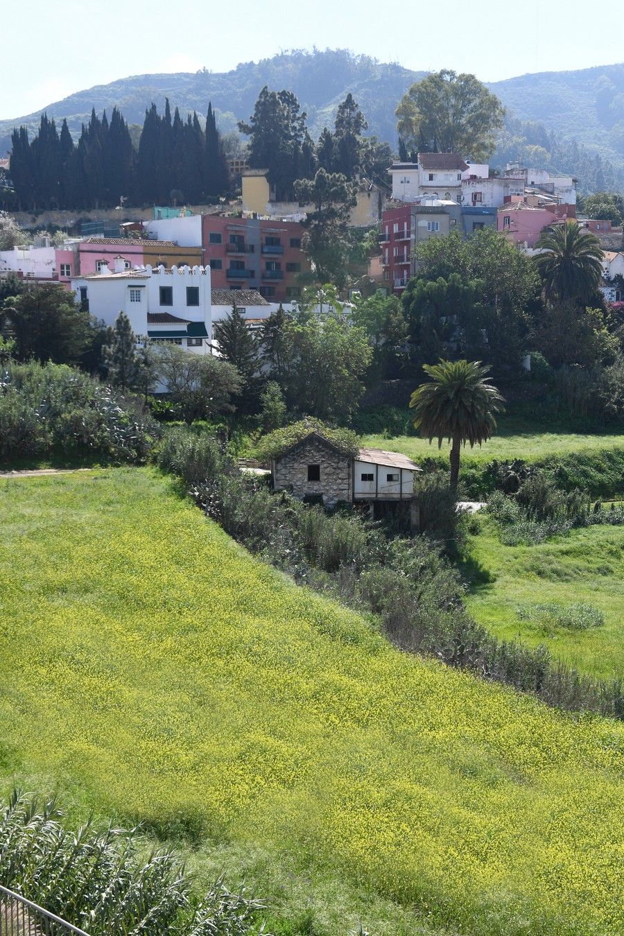 Meteorología en Las Palmas de Gran Canaria y Santa Brígida el 3 de febrero de 2021