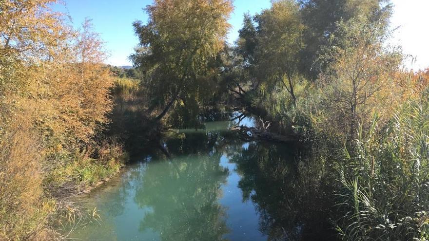 El tramo del río comprendido entre Soto de la Hijuela y el Soto de los Álamos será regenerado.