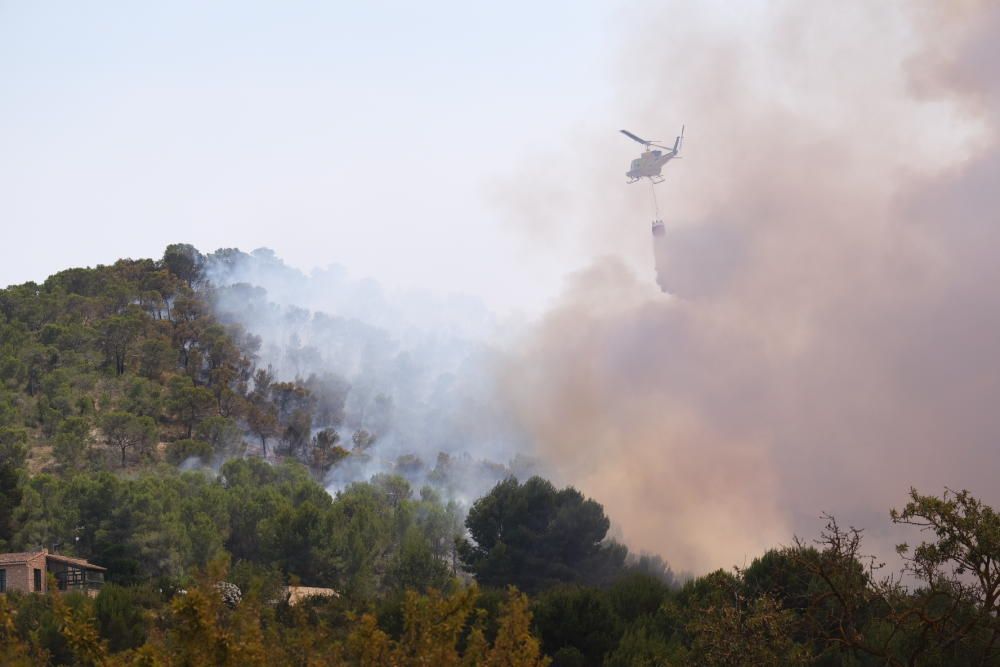 El fuego se ha originado al mediodía en la pedanía de La Romaneta y amenaza con extenderse por el monte y afectar a varias casas de campo.