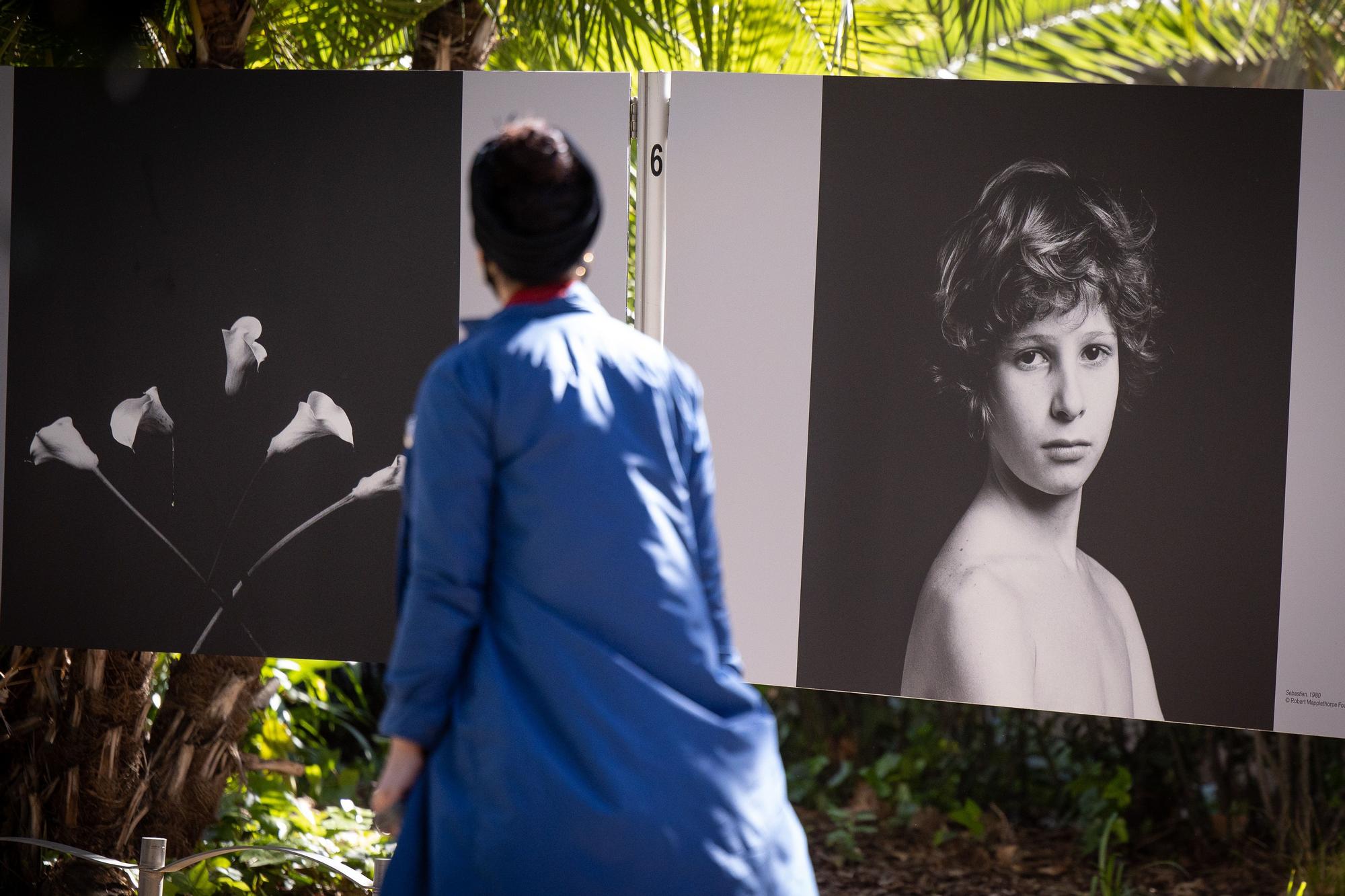 Inauguració de l’exposició fotogràfica de Robert Mapplethorpe, &#039;Flowers and People, Un diàleg visual amb l’òpera Hadrian de Rufus Wainwright&#039;