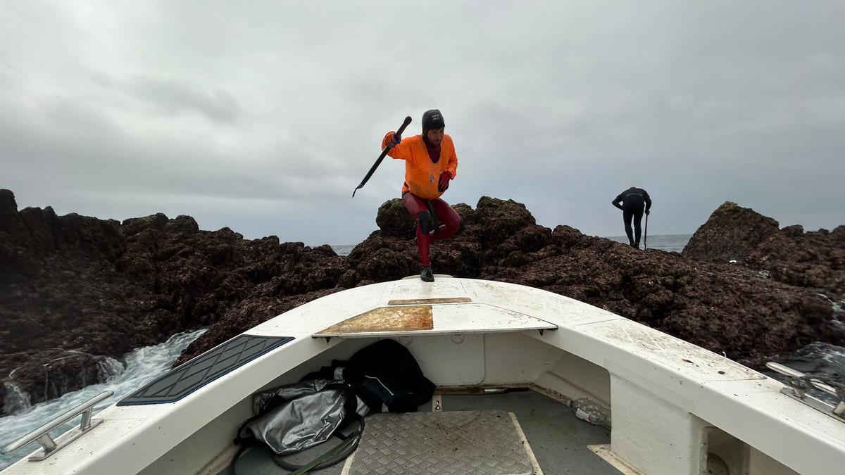 EN IMÁGENES: Así luchan los mariscadores de Luanco por cada kilo de percebe en el cabo Peñas
