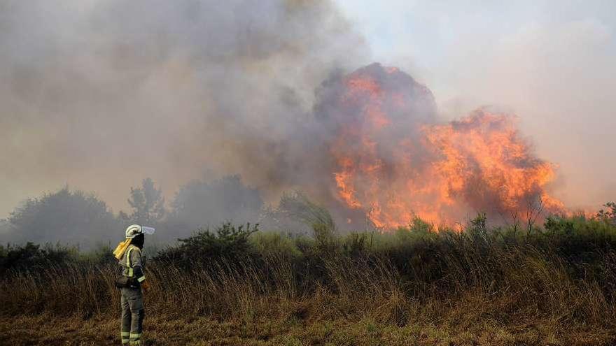Incendio en montes de Carboentes y Riobóo, en Rodeiro, el año pasado. // Bernabé/Javier Lalín