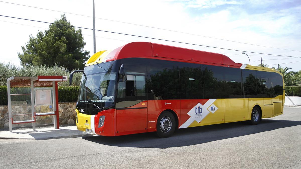 Imagen de archivo de un autobús del TIB.