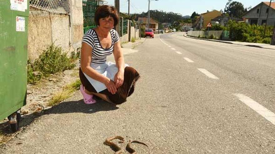 La vecina de Aldán con la serpiente ya muerta que se metió en su casa de Gandón.  // Gonzalo Núñez