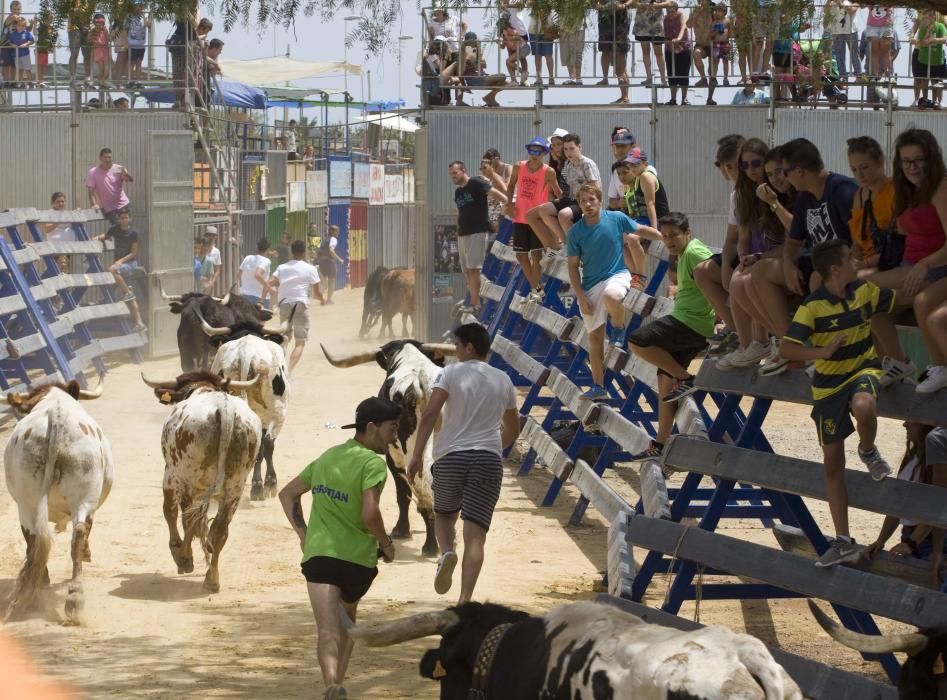 Fiestas de Sagunto. Recinto taurino.