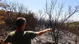 Una negligencia causó el fuego en la Sierra de Córdoba que arrasó 3,2 hectáreas