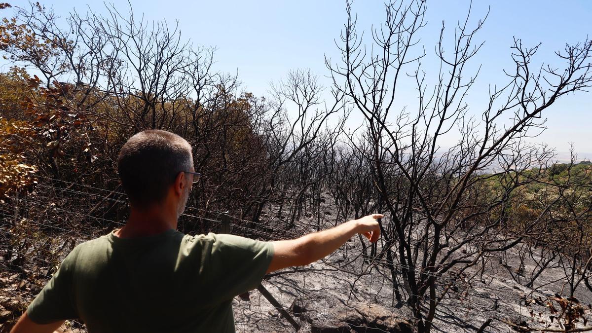 El Lagar de la Cruz: día uno tras el incendio