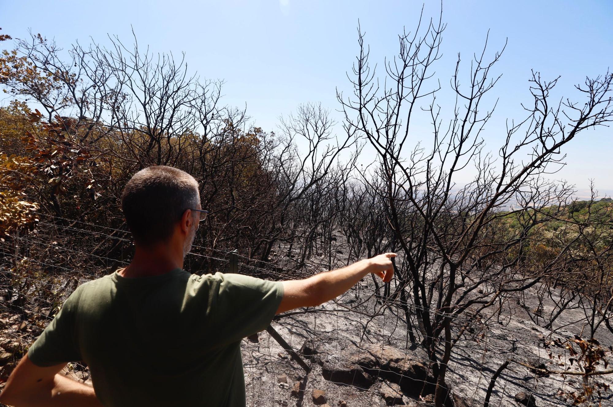 El Lagar de la Cruz, día uno tras el incendio