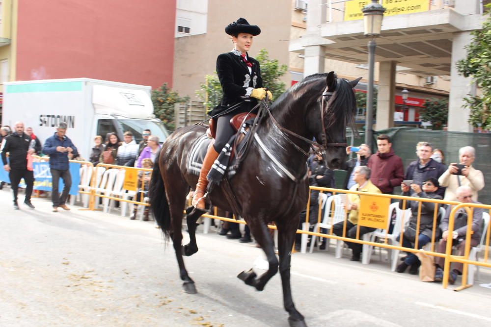 Fiesta de Sant Antoni en la ciudad de València