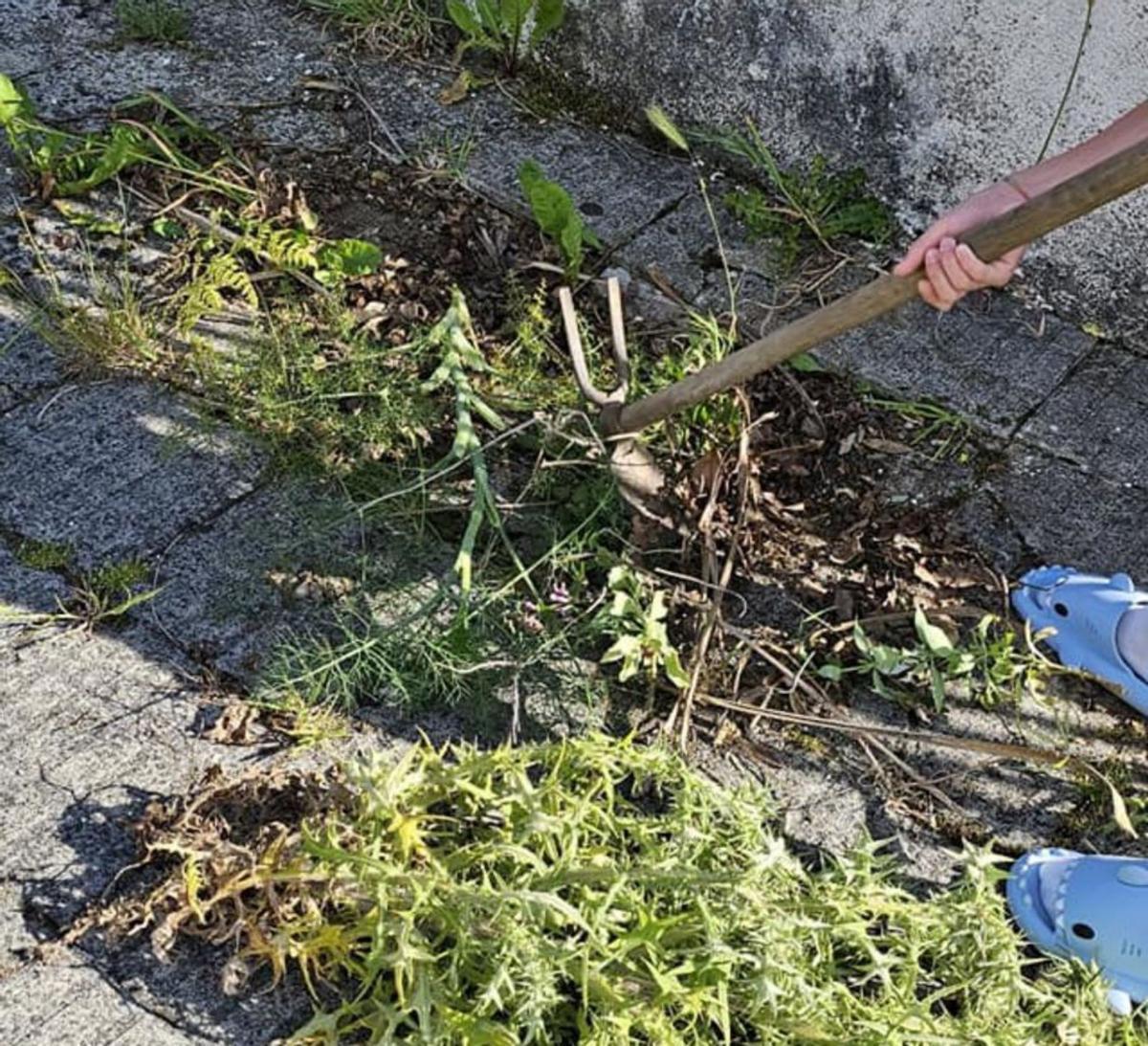 Posa limpiando la maleza del entorno de su casa.