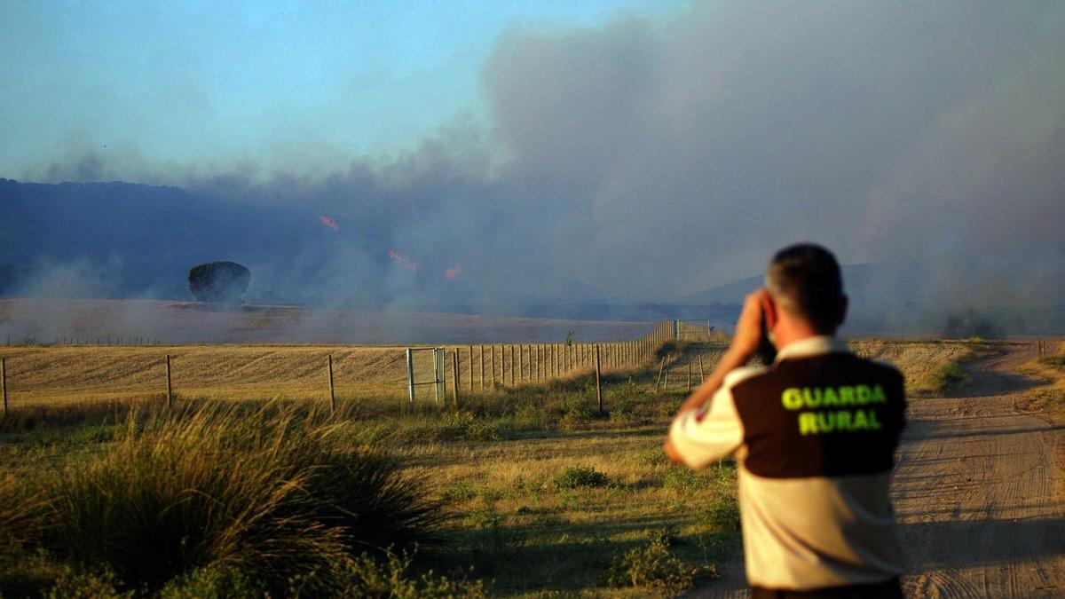 El incendio declarado durante la tarde de este domingo