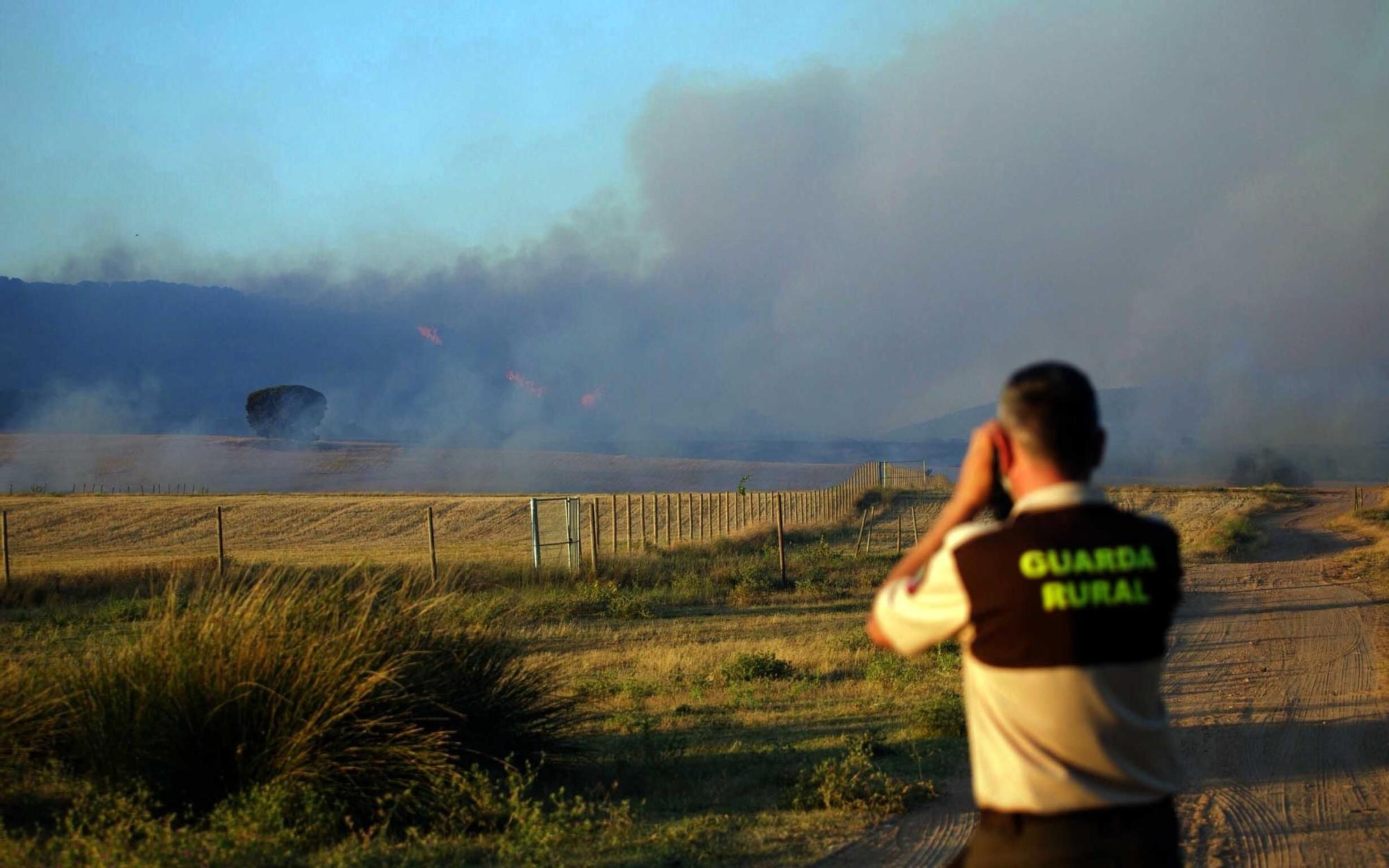 El incendio declarado durante la tarde de este domingo