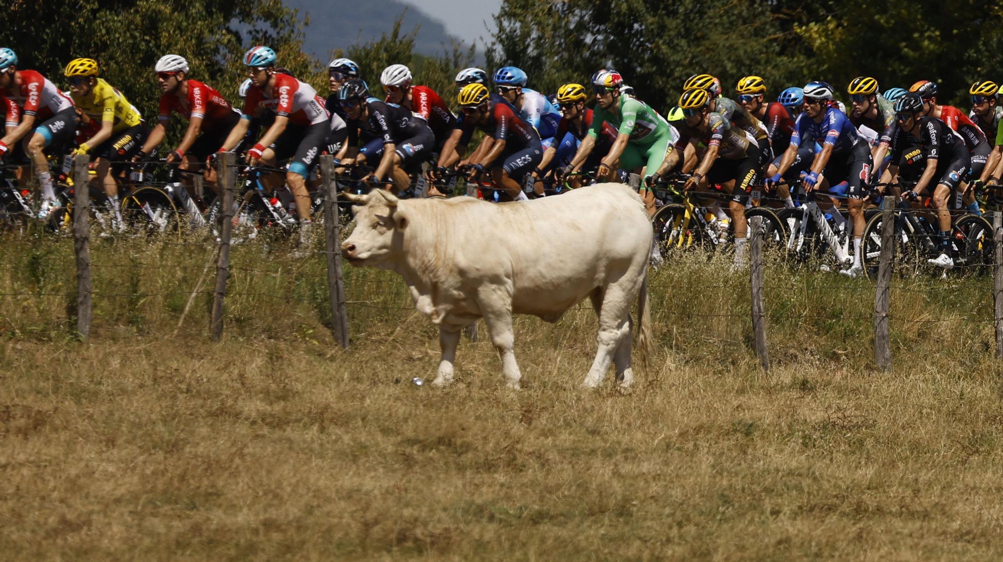 Tour de France