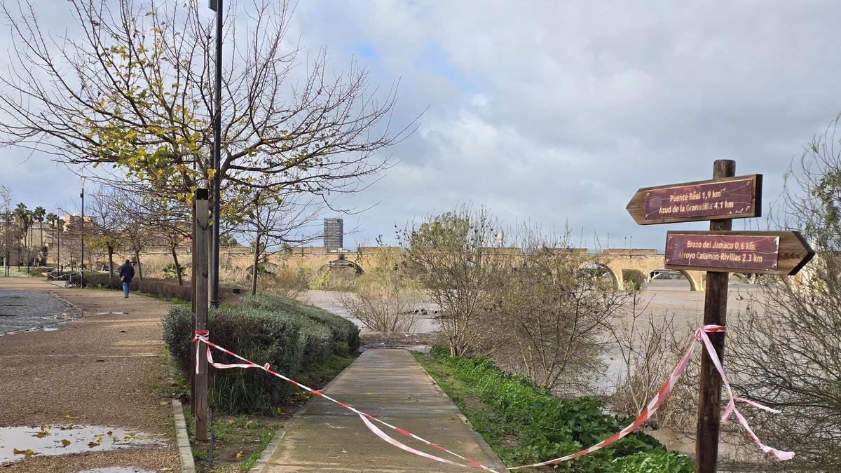 Efectos del temporal en Badajoz