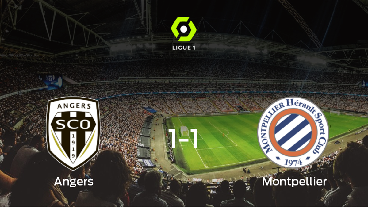 El SCO Angers y el Montpellier se reparten los puntos y empatan 1-1