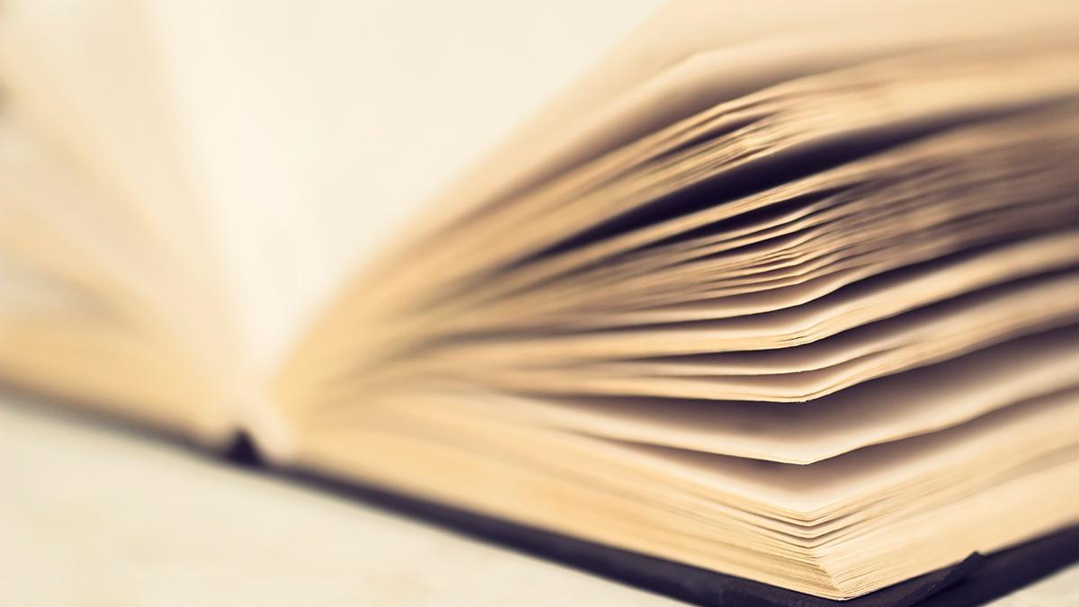 O galego escollea palabra do ano 20205.