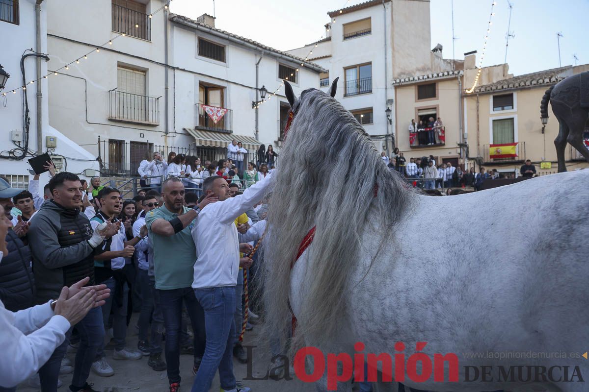 Entrega de premios del concurso de 'Caballo a pelo' en Caravaca