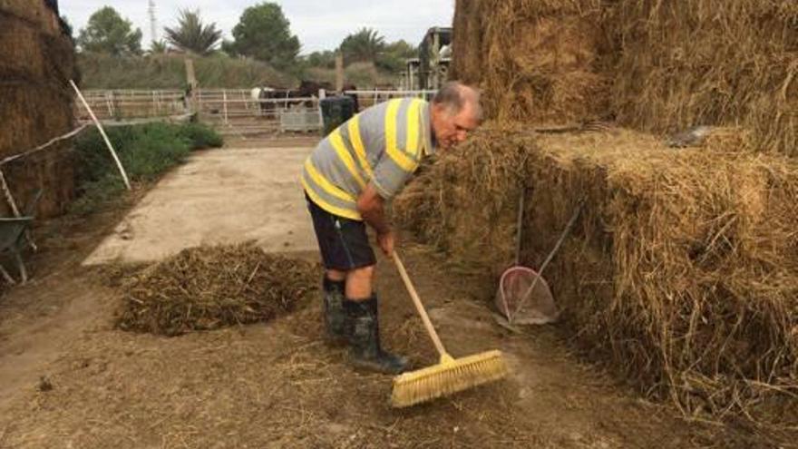 Trabajos a mano en la Fundación a la espera de que llegue la miniexcavadora.