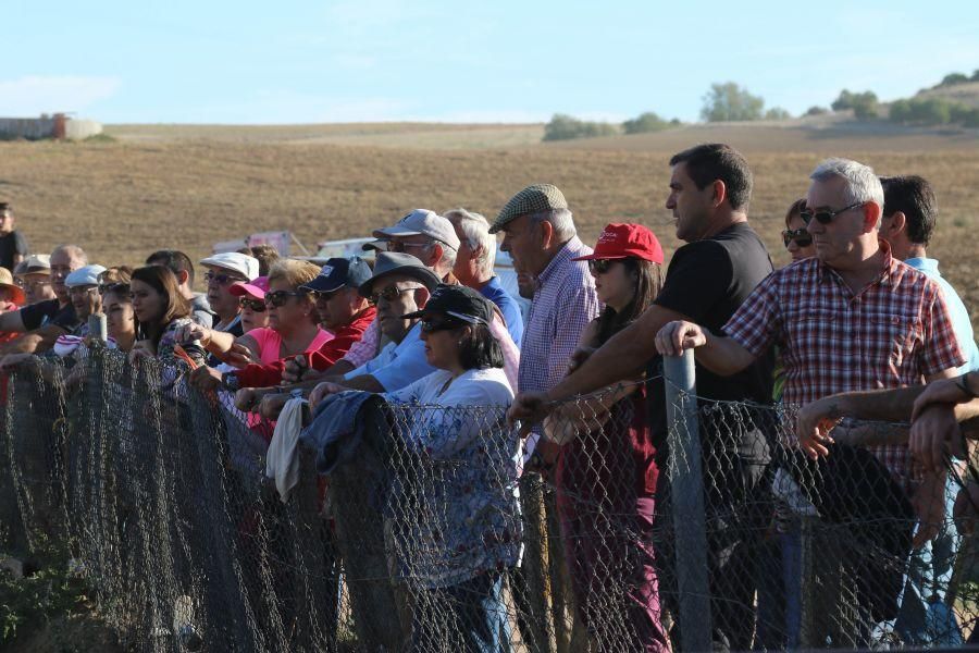 Encierro taurino en San Miguel de la Ribera