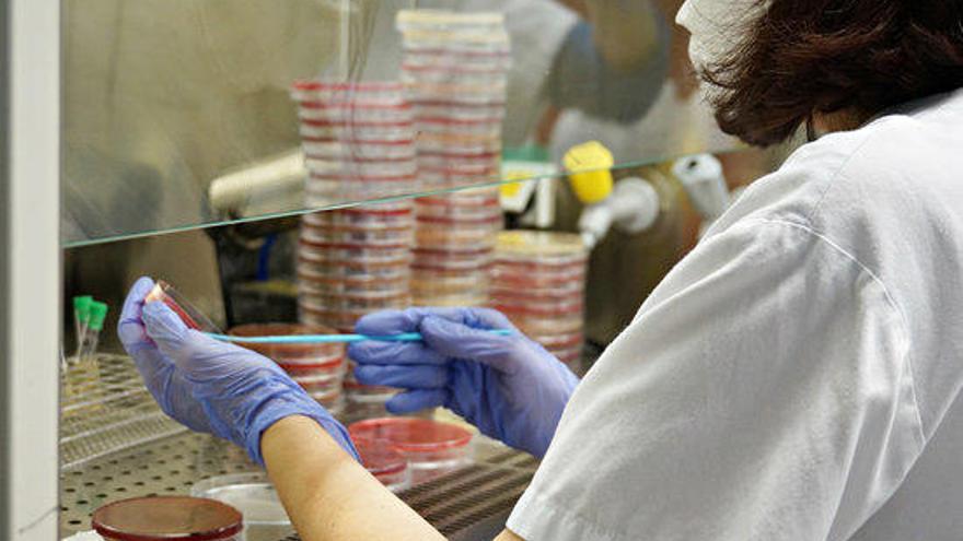 Catalunya registra 985 casos nous de covid-19 confirmats per PCR i 13 defuncions
