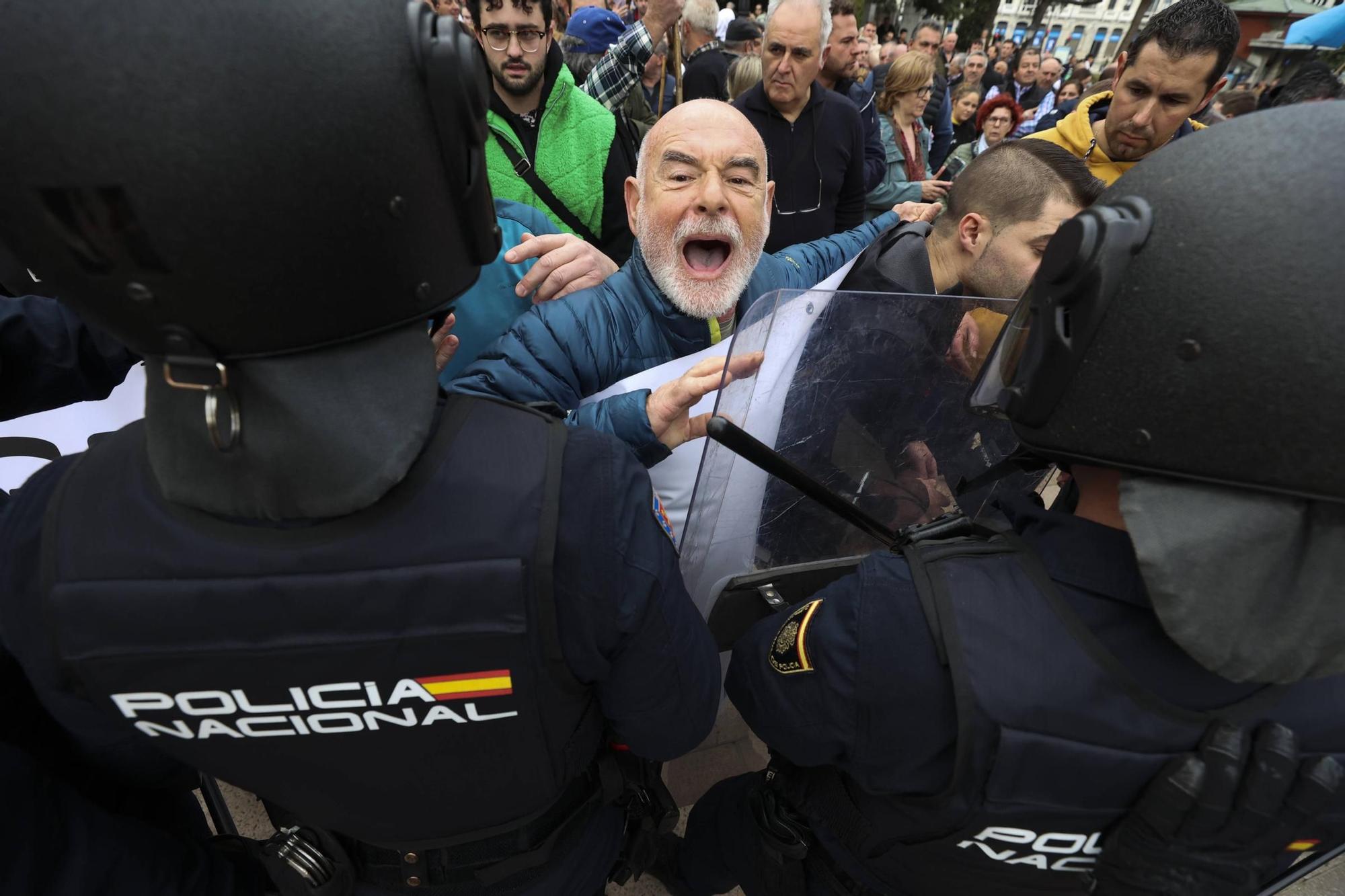 Así fue la protesta agrícola y ganadera convocada en Oviedo