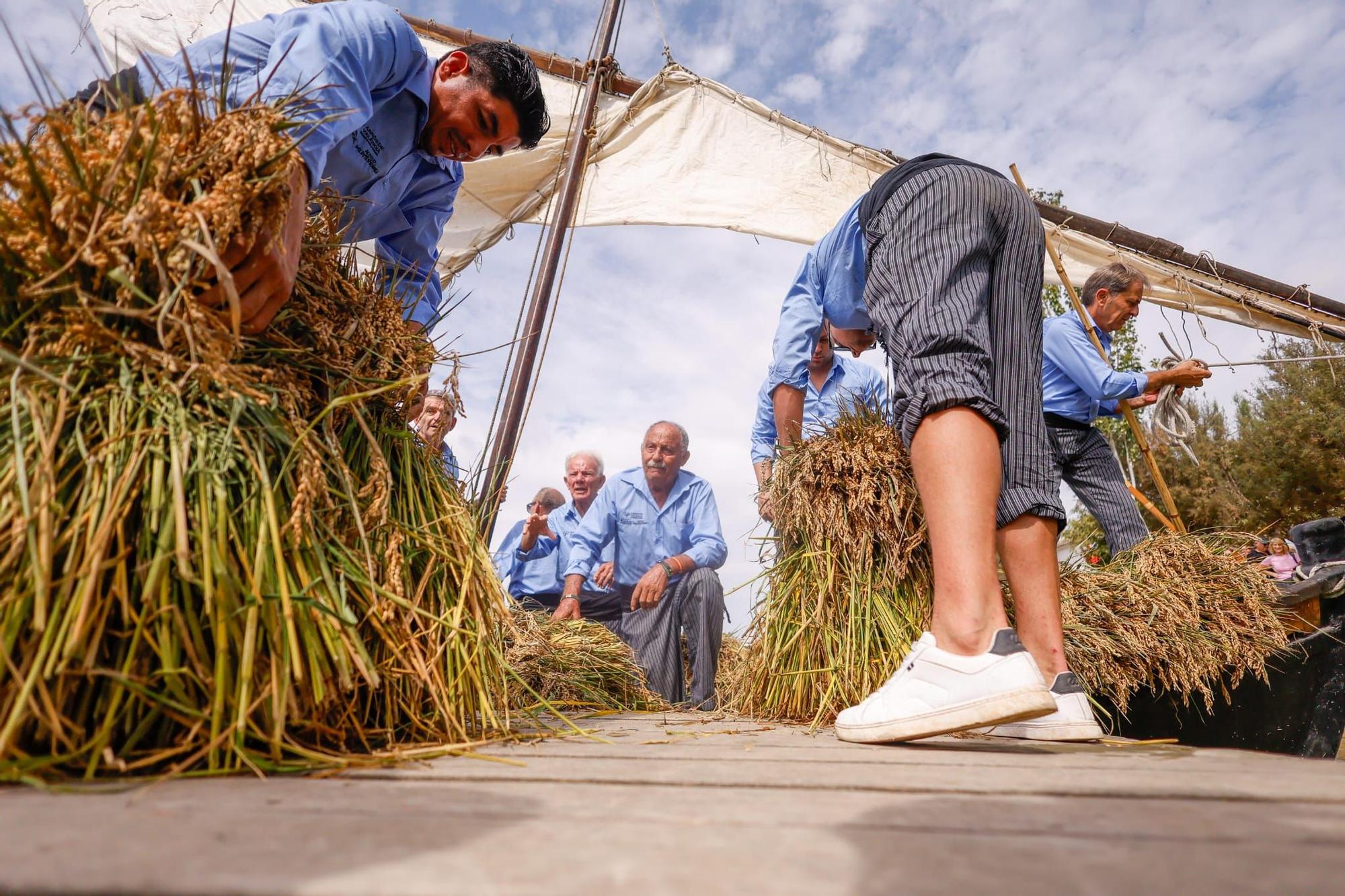 El puerto de Catarroja reúne a 5.000 personas en la Fiesta de la siega del arroz