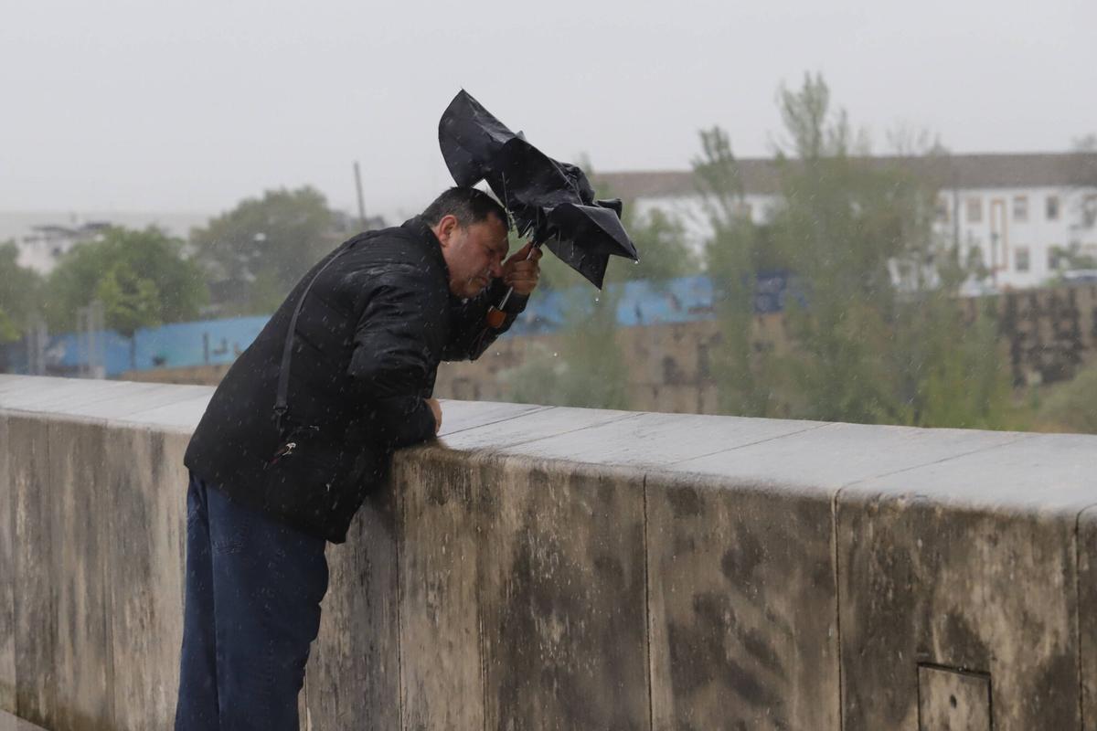 El temporal de lluvia y viento, en imágenes
