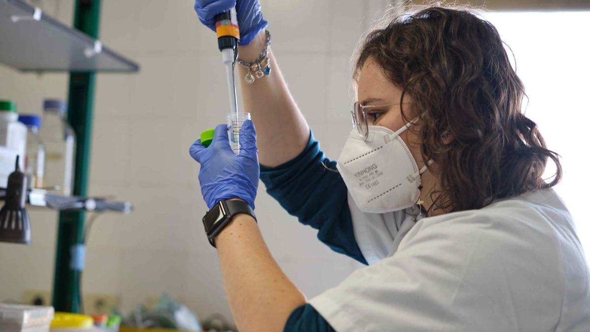 Una investigadora realiza un estudio en el Hospital Universitario Nuestra Señora de Candelaria.