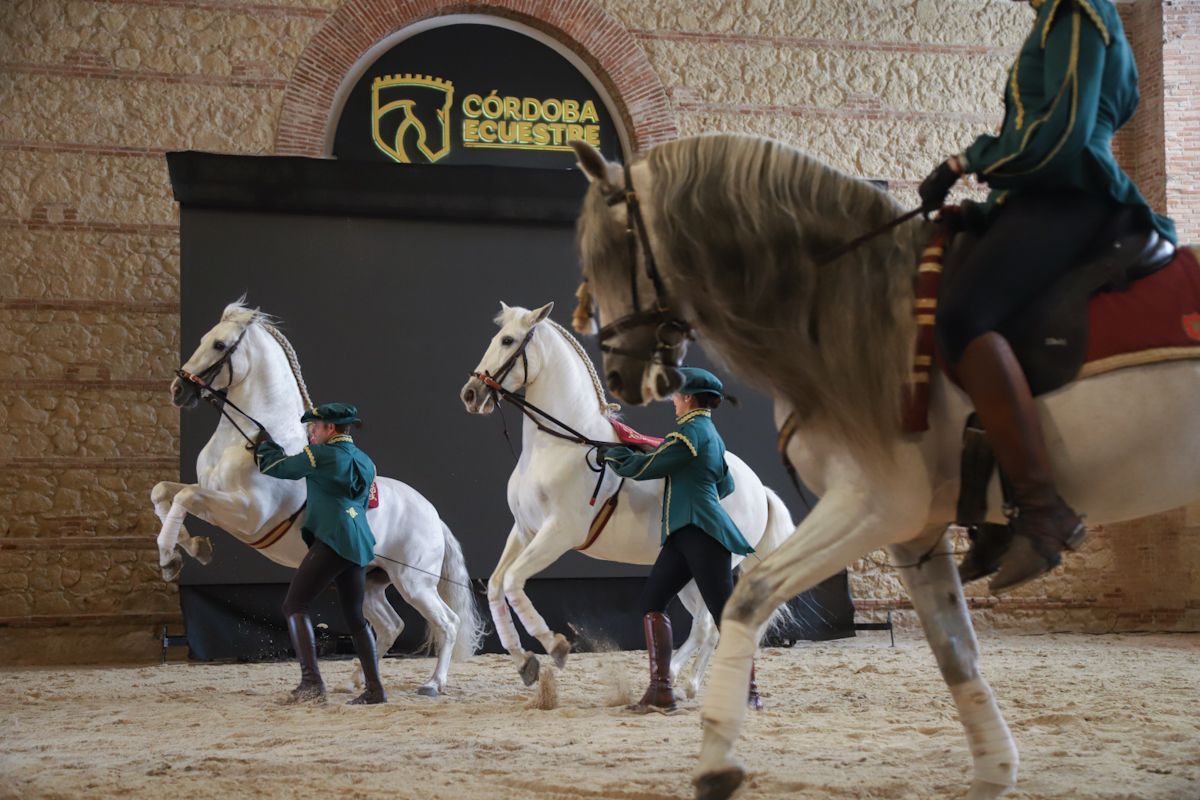 Premios de Turismo de Diario CÓRDOBA