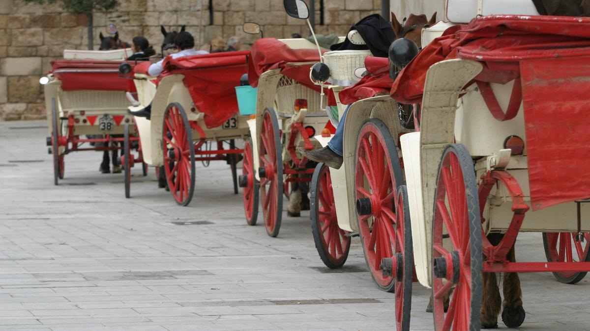 In Palma de Mallorca aufgereihte Kutschen für Urlauber.