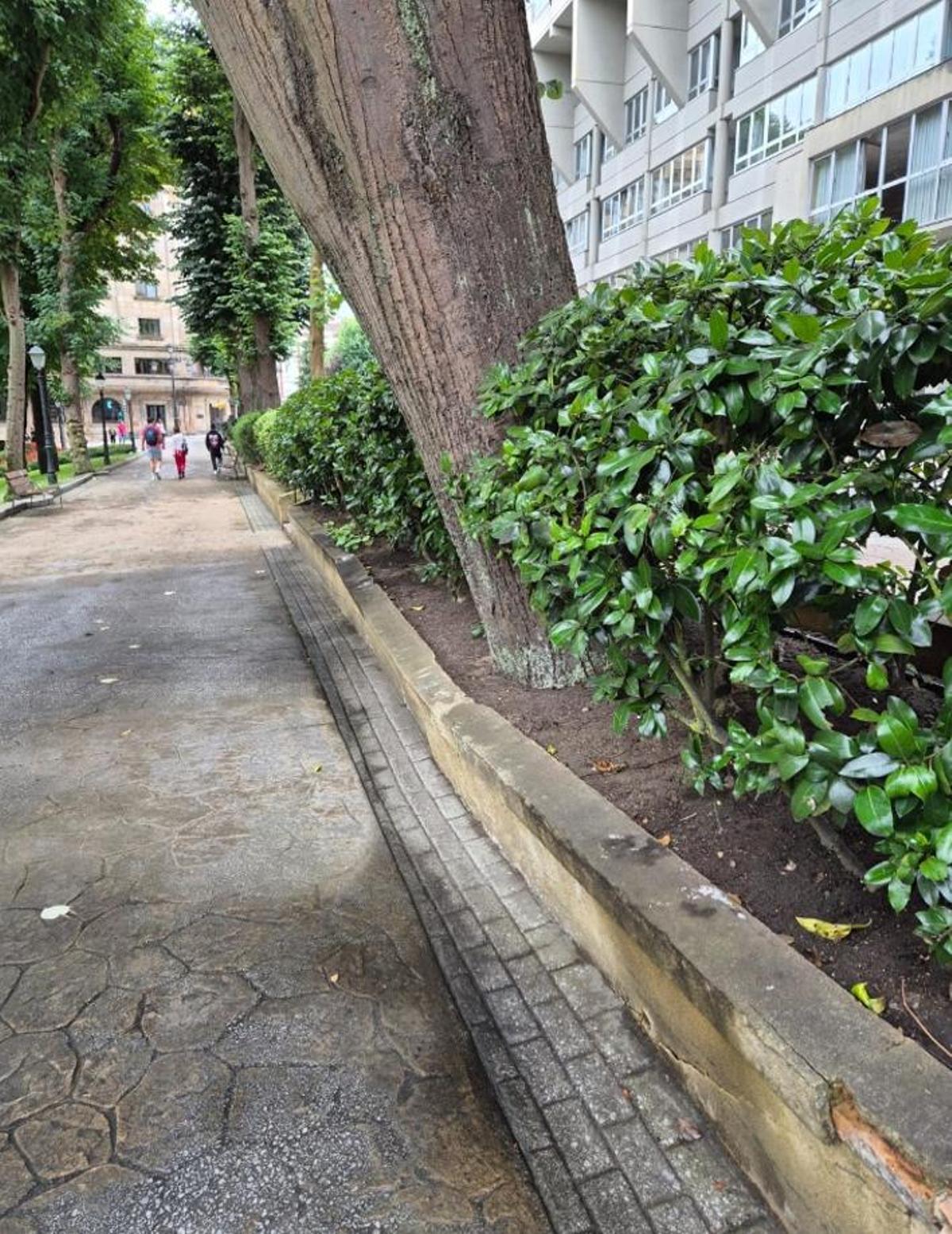 Detalle de la rotura provocada en la jardinera