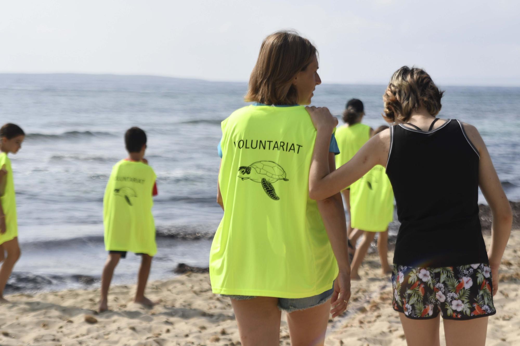 Galería de imágenes de la jornada en ses Salines de Ibiza sobre el desove de tortugas