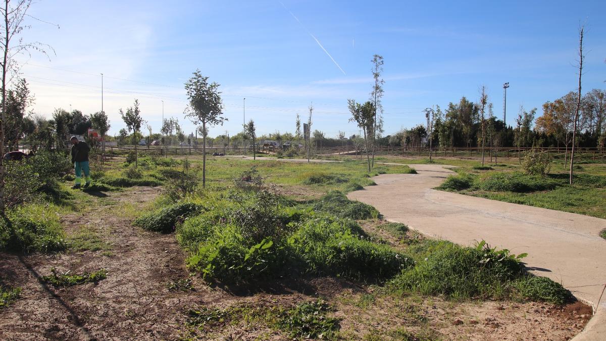 Los nuevos jardines de Alaquàs