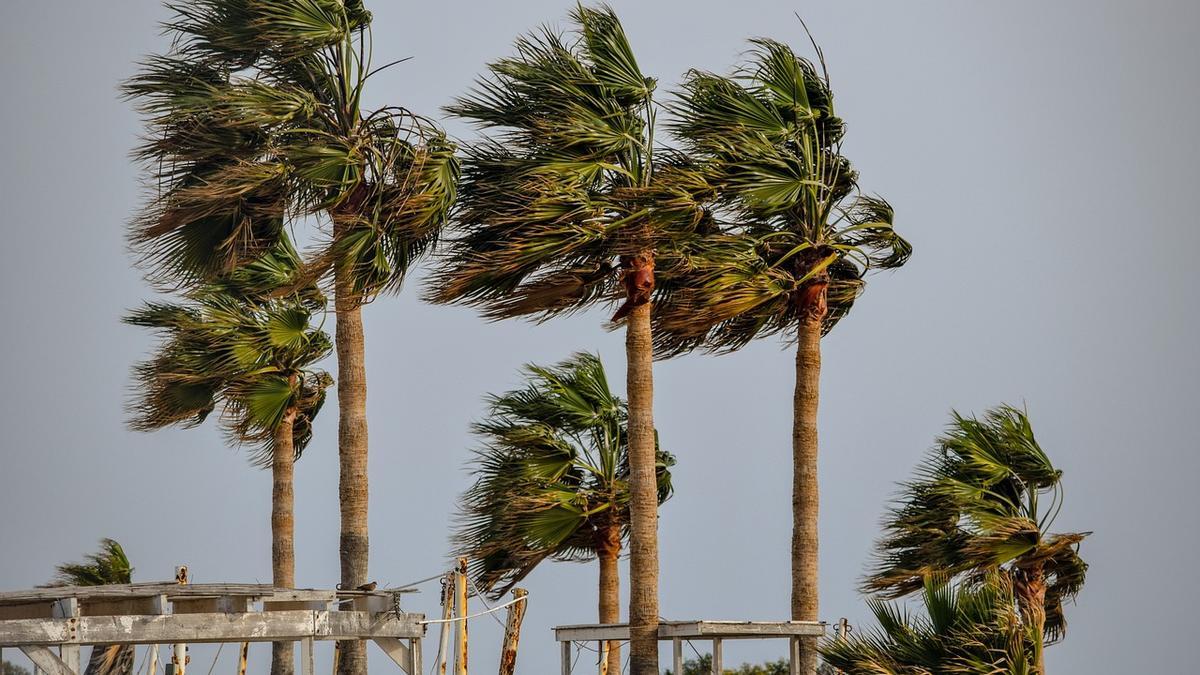 Riesgo amarillo por fuertes rachas de viento.