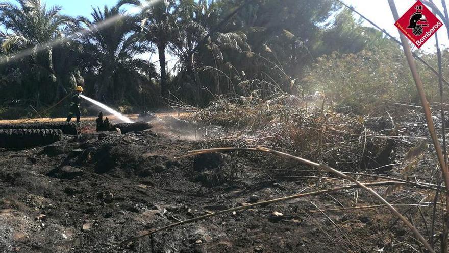 La escombrera está junto a unos campos de cultivo y palmeras