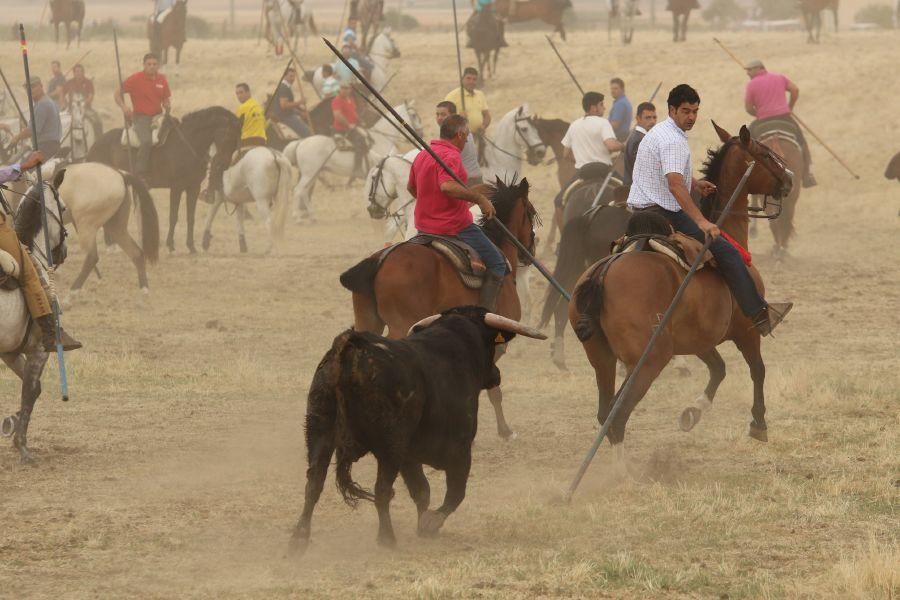 Segundo encierro taurino en Guarrate