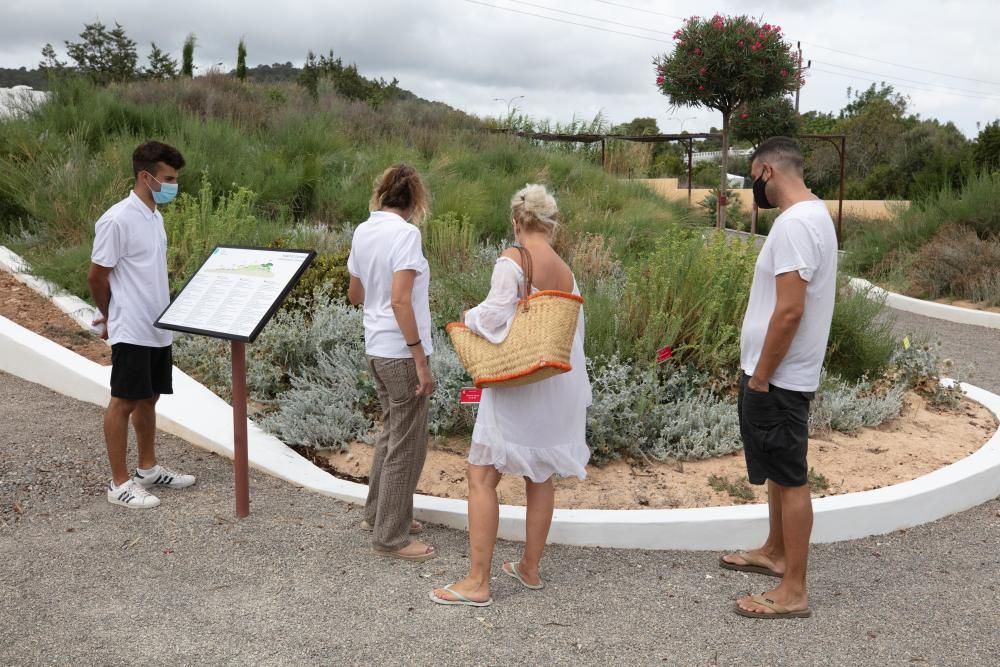 Abre sus puertas en Sant Rafel el primer jardín botánico y biotecnológico de las Pitiusas con vegetación de ambas islas