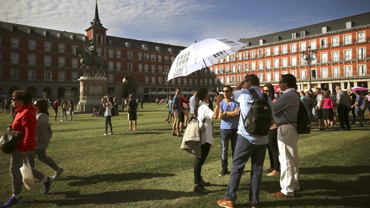 Césped en la Plaza Mayor