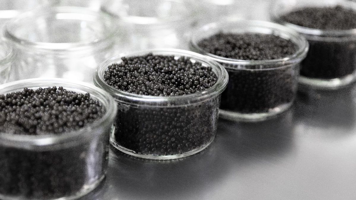 Tarrinas de caviar de la empresa Riofrío, de Osborne.