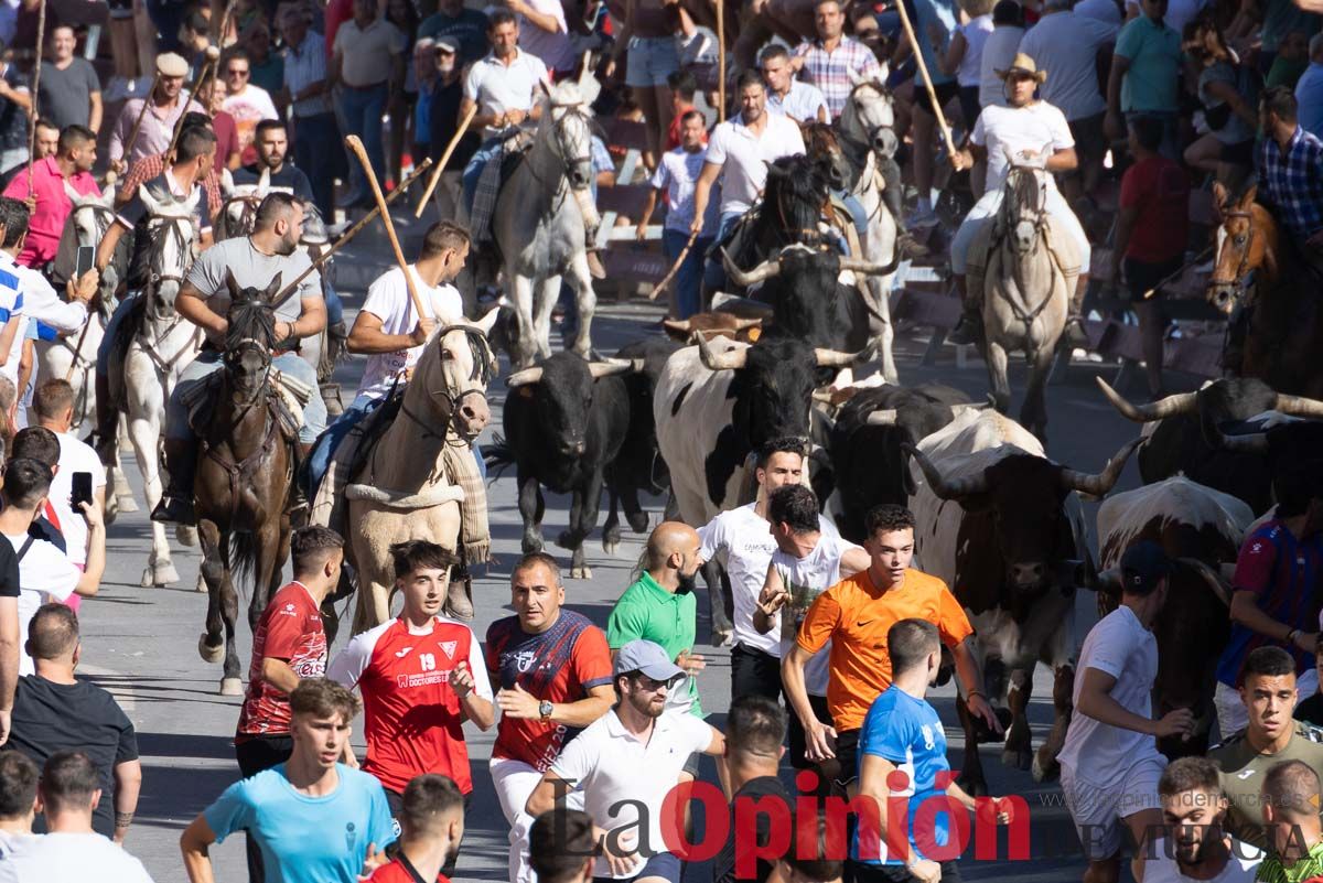 Último encierro en las Fiestas de Moratalla