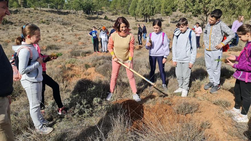 Escolares de Teruel plantan árboles en Fuentecarrasco con motivo del Día Forestal Mundial