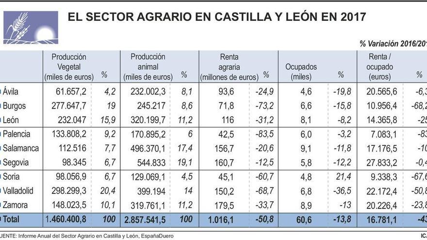 El sector agroalimentario alcanza el 8,5% del valor añadido y el 10% del empleo