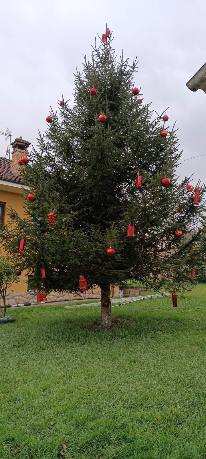 Así decoró Grado pueblos y negocios para el concurso navideño: estas son las propuestas