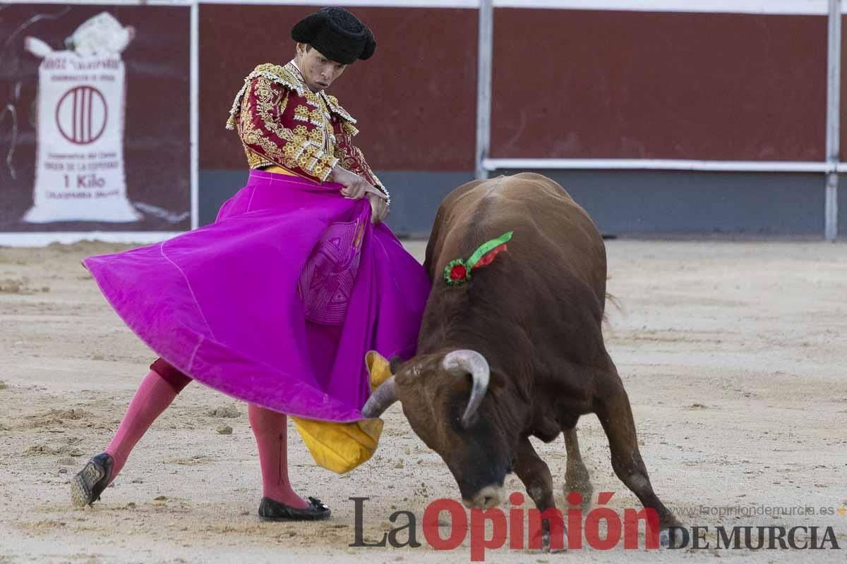 Primera novillada 'Espiga de plata' en Calasparra