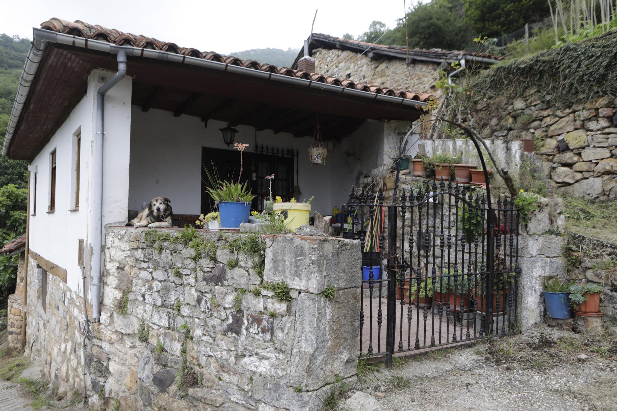 Bandujo, galería de fotos del pueblo más guapo de Asturias