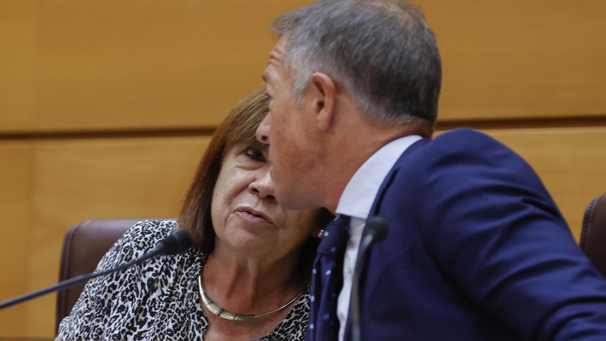 El presidente del Senado, el socialista Ander Gil, y la vicepresidenta primera, Cristina Narbona.