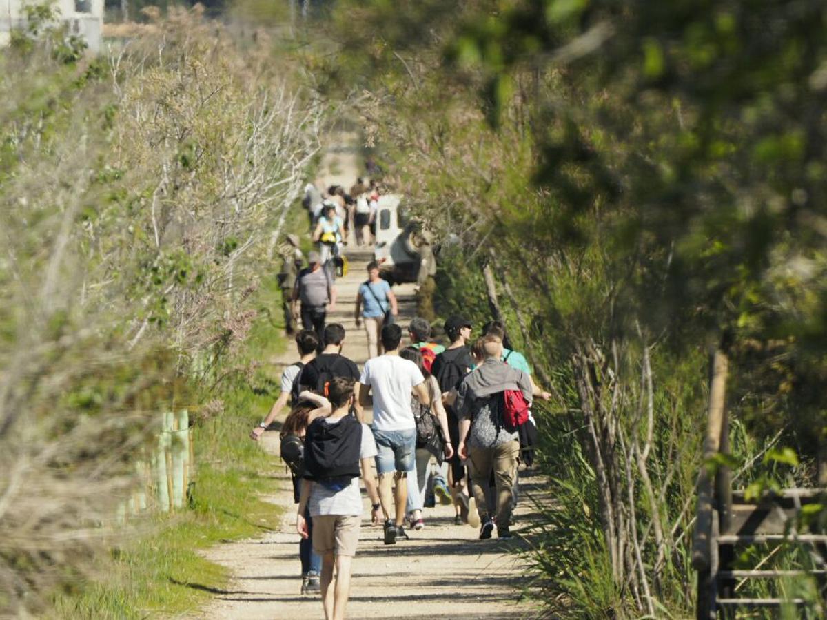 Visitantes a s'Albufera.