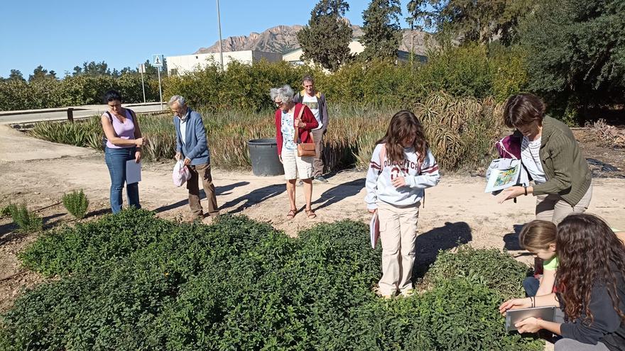 Un paseo botánico por el Museo de Ciencias en Orihuela para conocer más de 60 especies