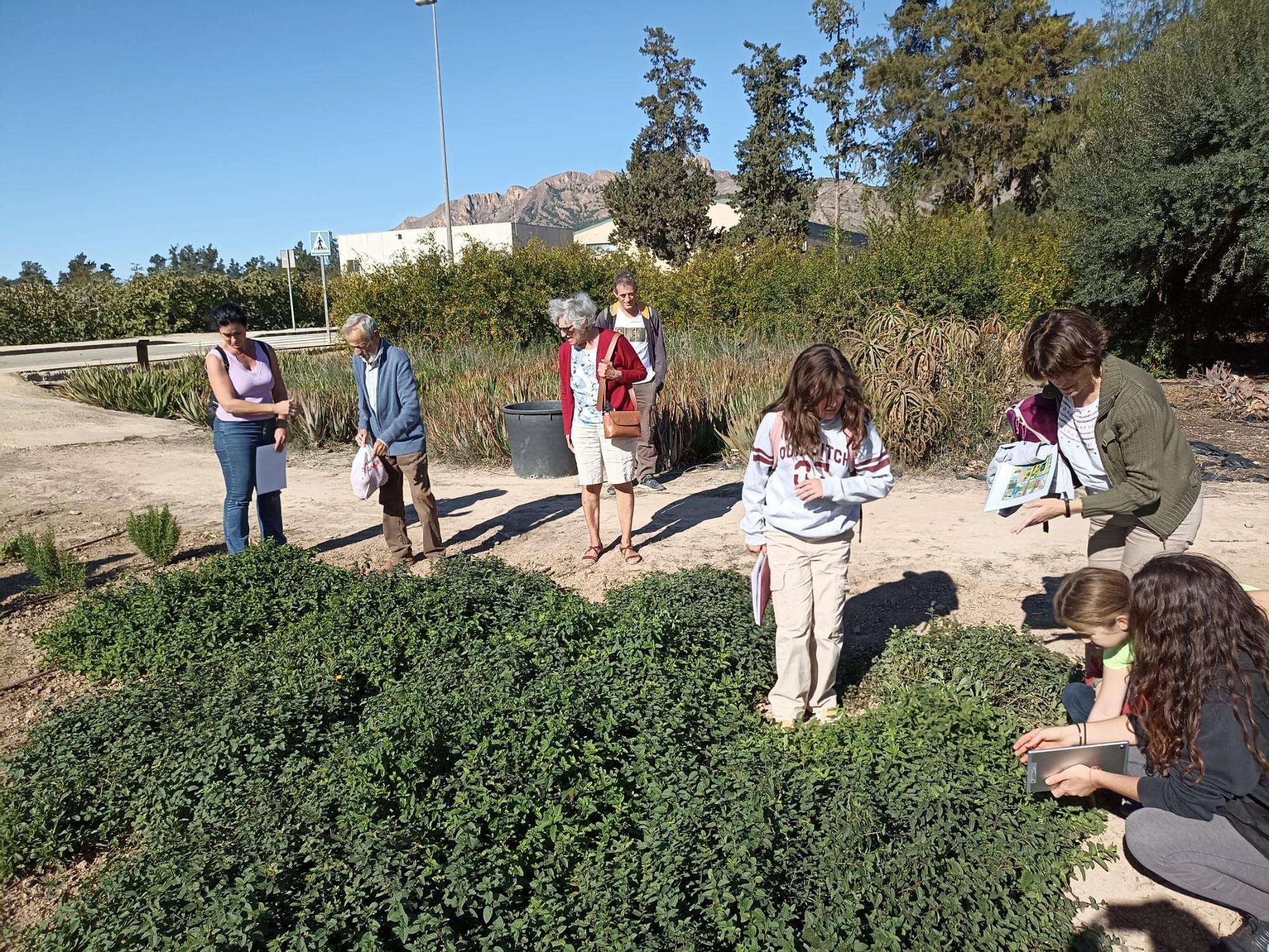 Un paseo botánico por el Museo de Ciencias en Orihuela para conocer más de 60 especies