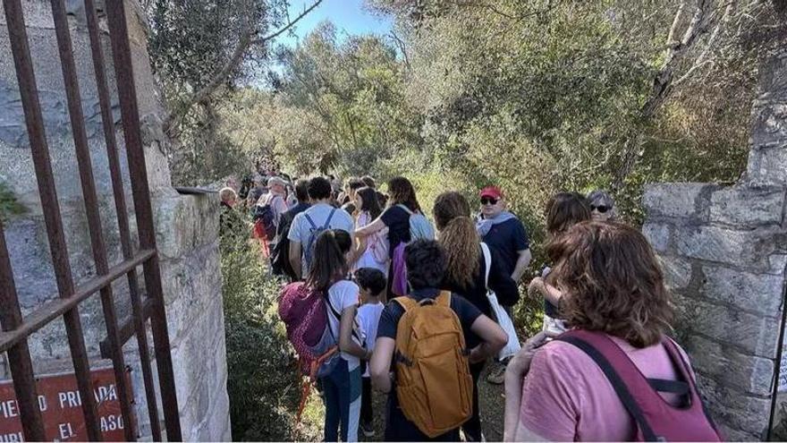 Streit um Wanderwege auf Mallorca: 800 Menschen protestieren an sagenumwobenem Ort bei Manacor